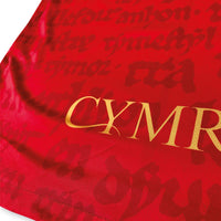 Cymru Hanes Home Football Jersey red back detail standard fit performance fabric available @ asphaltsocialklub.com