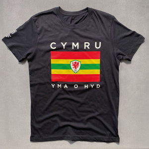 CYMRU FLAG TEE