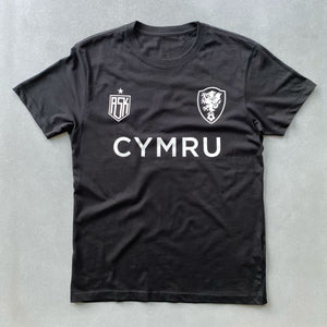 CYMRU ICONS TEE